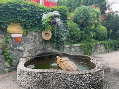 -烟台山景区