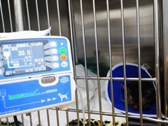 -瑞派·关忠动物医院·异宠专科·犬猫肿瘤·皮肤专科(望京店)