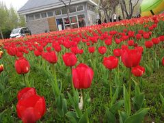 -廊坊文化艺术中心