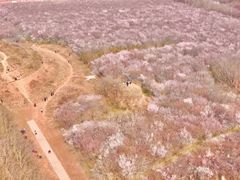 -明秦王墓遗址