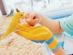-怪兽屋·羊驼·猫咖·狗咖(俊华广场店)