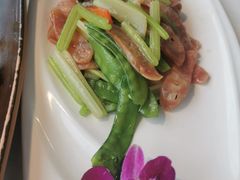 -云中小雅
