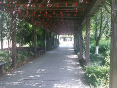 -白马涧龙池景区