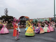 -荷兰花海