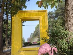 -铁山坪森林公园