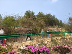 -木兰云雾山