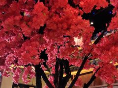 大堂-探花·意境江南菜·唐伯虎文化体验店·松鼠桂鱼(观前店)