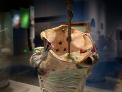 -上海博物馆(人民广场馆)