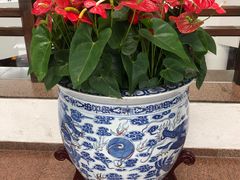 -亮马河饭店翠雅咖啡厅