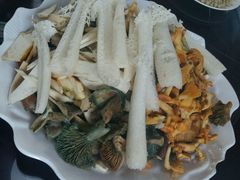 -山大王菌莊