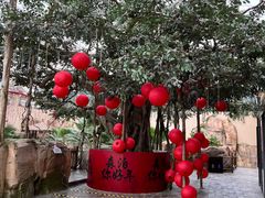 -杭州开元森泊度假乐园