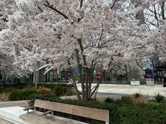 -维多利亚火车站