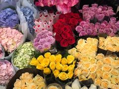 -双季花艺园艺市场(浦东店)