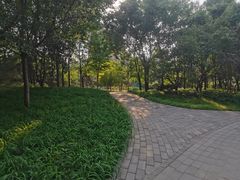 -北极寺公园