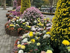 -共青国家森林公园-售票处