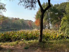 -西溪国家湿地公园