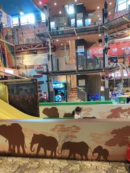 -卡通尼·Safari非洲探索乐园·生日会(金桥国际商业广场店)