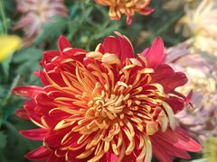 -北京植物园南门售票处