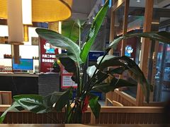 -邵汇大虾(大东门店)