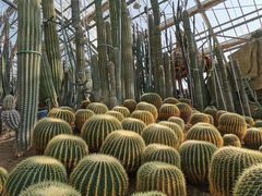 -南山植物园