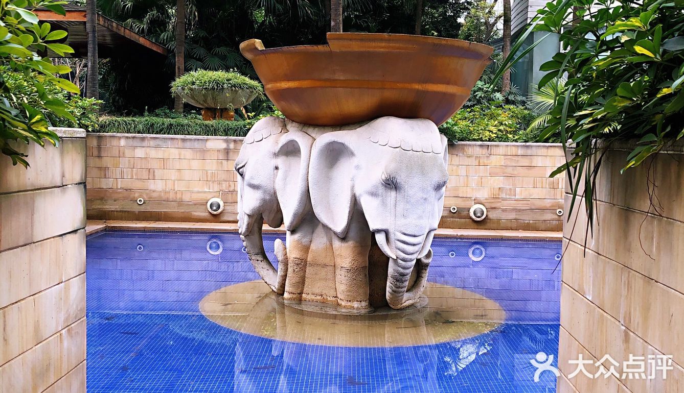 落地的杏花 妙龄的梨花