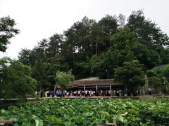 -韶山毛泽东同志故居