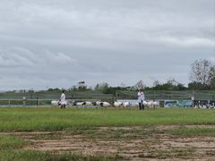-盐城丹顶鹤湿地生态旅游区