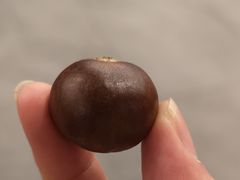 糖炒栗子-秋栗香(地安门店)