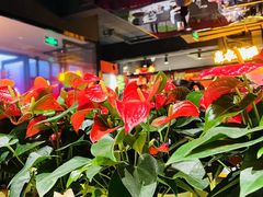 -鑫悦诚府·新鲁菜·餐厅(趵突泉店)