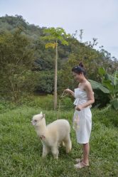 点击看大图 -花漾摄影优选工作室(东莞原创作品店)