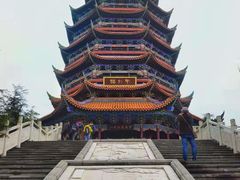 -铁山坪森林公园