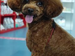 -宠颐生猫科·内科皮肤科(西平世纪城店)