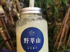 -野萃山·潮汕厚果汁(十亩地店)