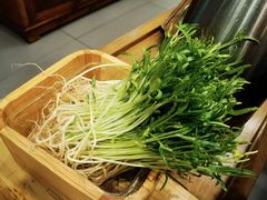 -阳坊胜利涮羊肉(阳坊老店)
