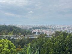 -仙岳公园