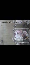 -国健母婴护理中心(经开院)