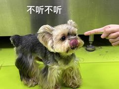 -美联众合动物医院·24h转诊中心