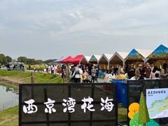 -西京湾花海