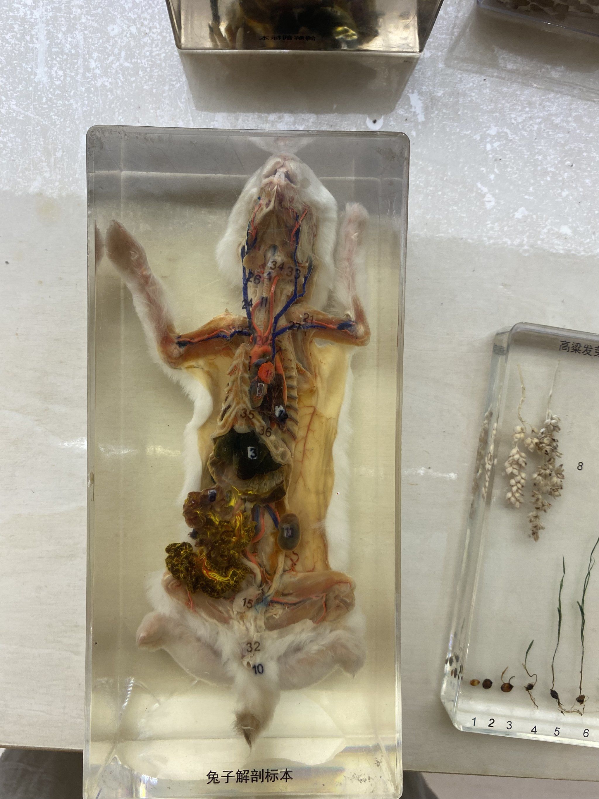 现在的孩子胆子都这么大吗?