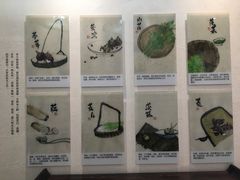-苏州太湖国家湿地公园