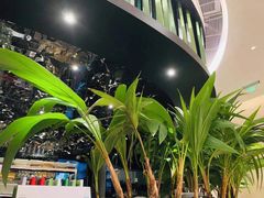 -凤园椰珍·臻品椰子鸡(保利时光里店)