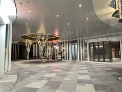 -黑胶星球(华发中城商都店)
