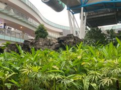 -新加坡摩天观景轮