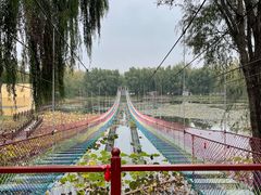 -微山湖红荷湿地景区