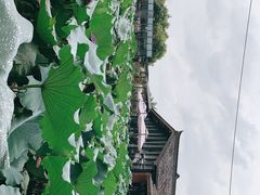 -莫催咖啡