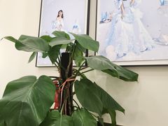 -HIMO海马体照相馆(上海华润CP静安店)