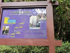 -雁荡山三折瀑景区