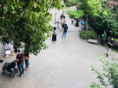-星巴克臻选(思南公馆店)