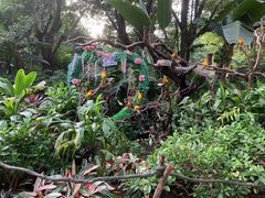 -广州长隆飞鸟乐园