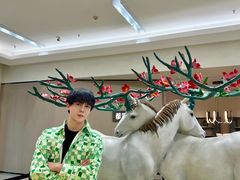-红星美凯龙北京至尊MALL(东四环中路店)